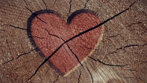 Heartbreak creative timber Wallpapers HD 1280x720